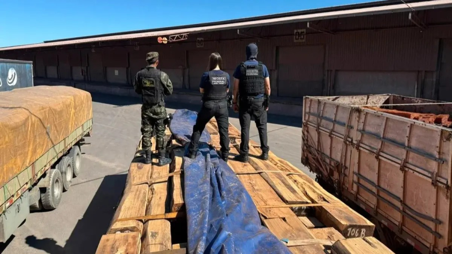 Perícia em 230 toneladas de madeira com cocaína deve ser concluída em até cinco dias